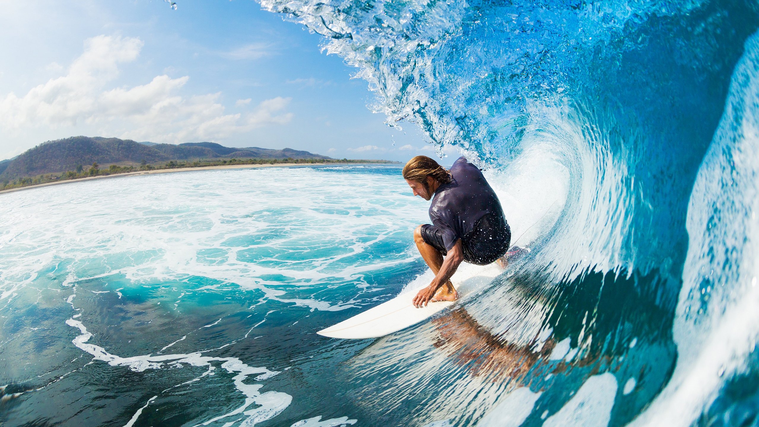 当优雅成为利刃，英格拉姆如何用冰封美学击溃灰熊
