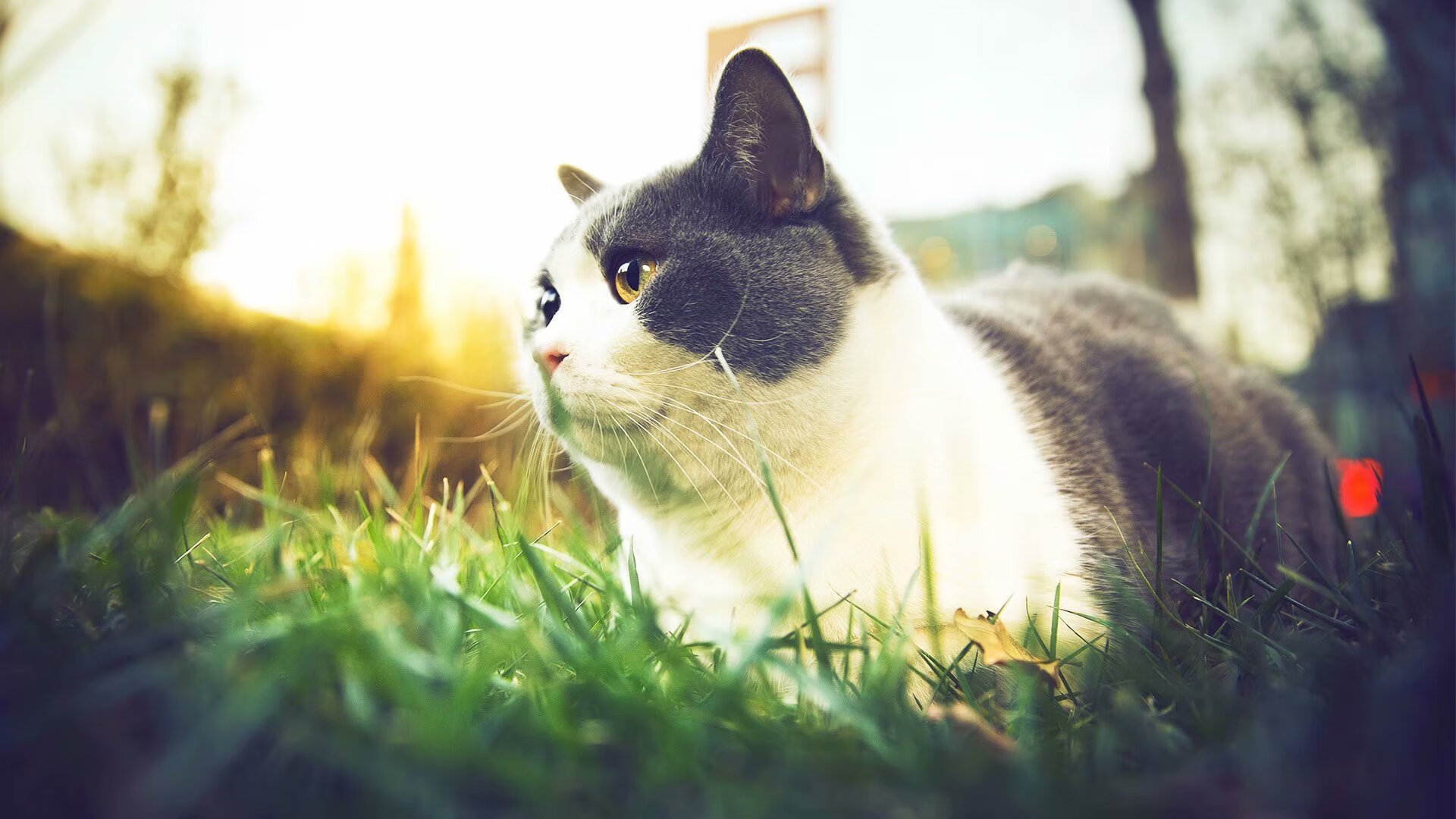 防守的共鸣，从富安健洋的统治力到冰岛的最后绝杀