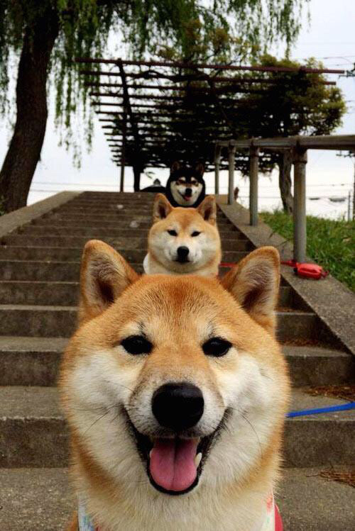 哈登点燃F1之夜,当篮球巨星撞上极速轰鸣,跨界火花如何重塑体育狂欢?