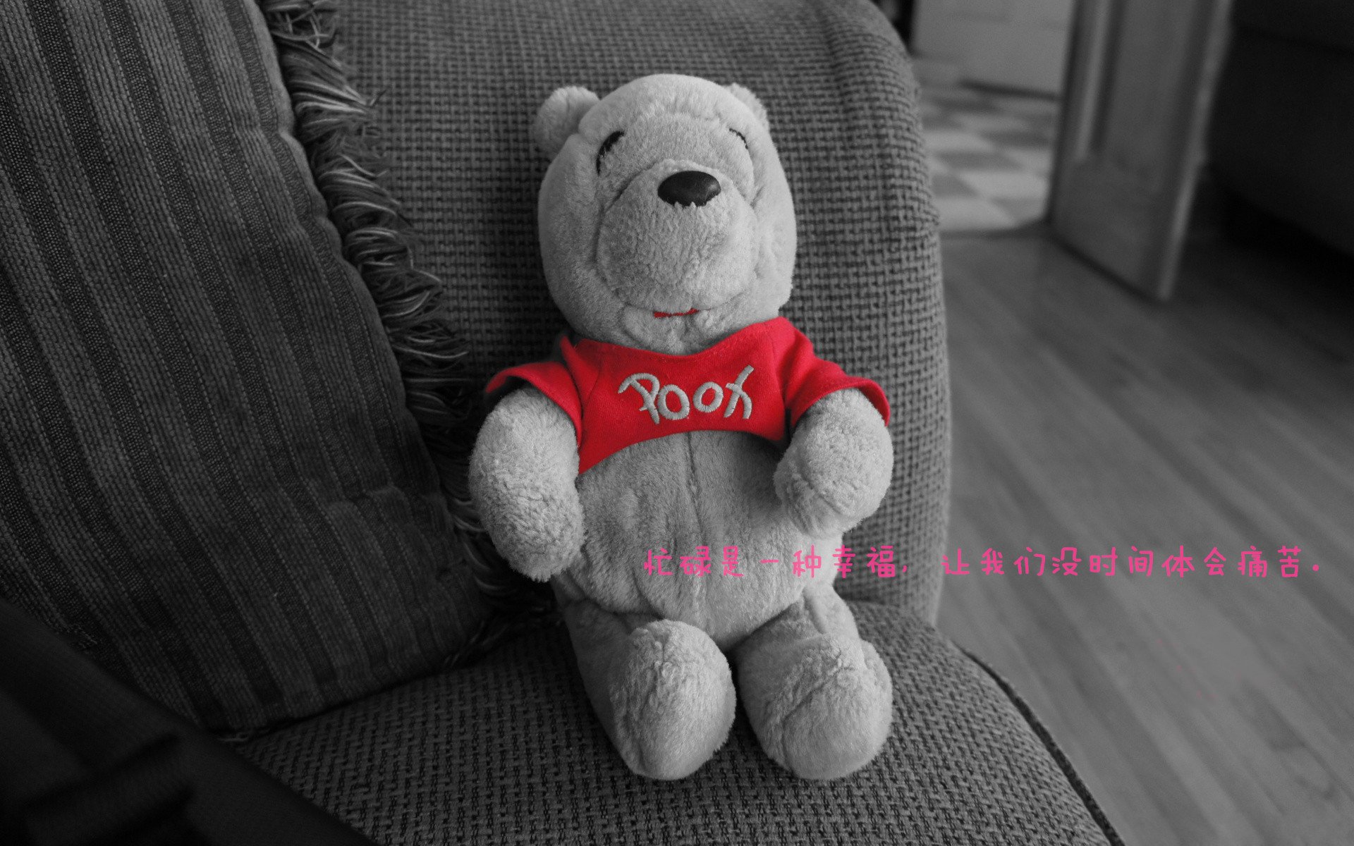 极速阴影下的关键先生，武切维奇如何让F1之夜响起篮球的轰鸣