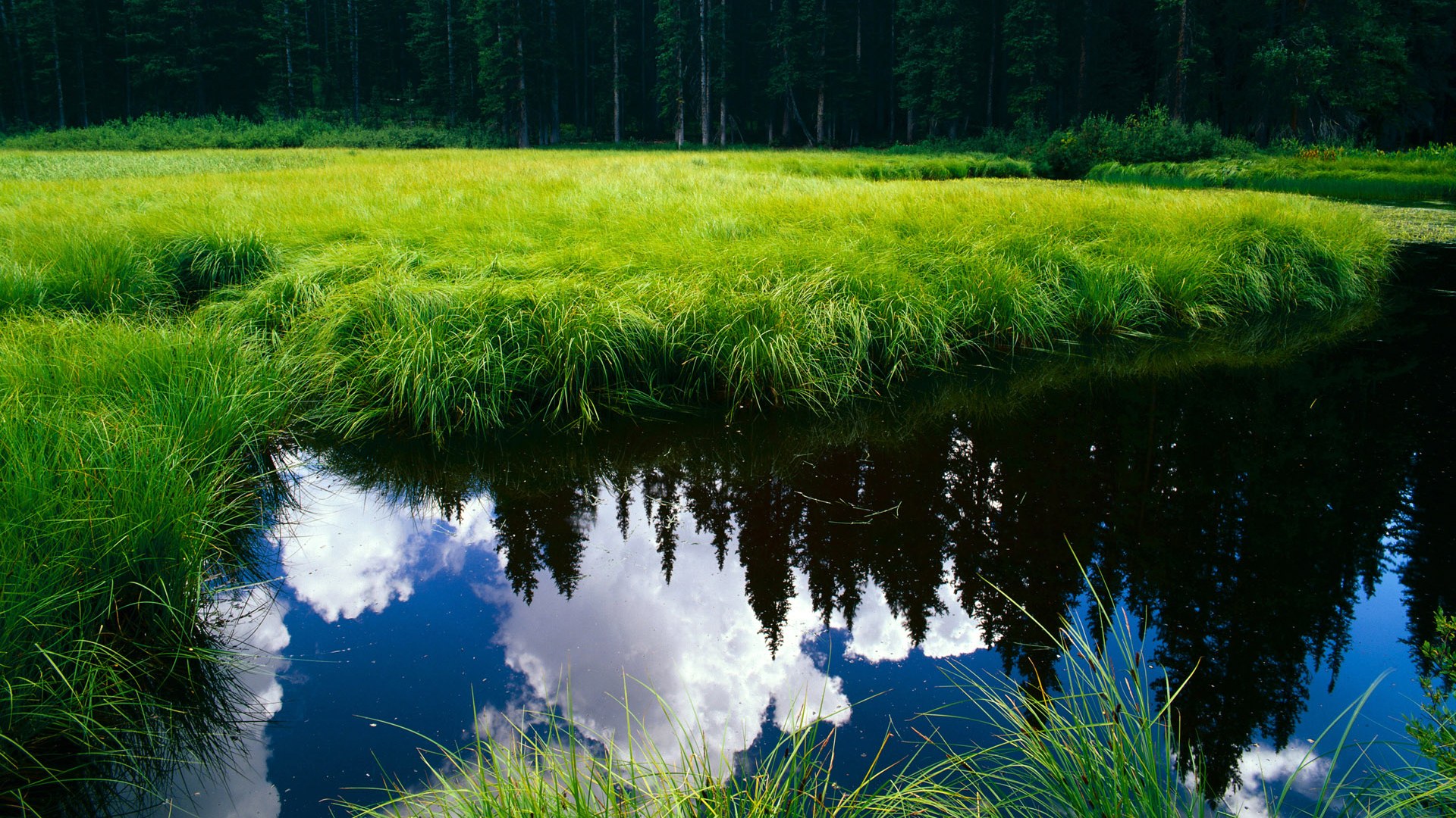 从科潘到莱比锡，罗德里戈的冠军级演出，洪都拉斯的足球之光