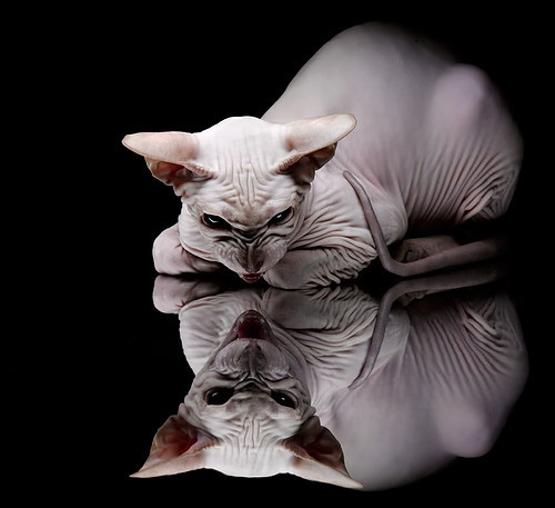 绿茵场上的印第安纳计划，当意甲焦点战化身篮球战术博弈