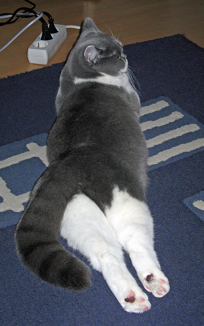 小贾伦38分创生涯新高！快船末节窒息防守逆转骑士