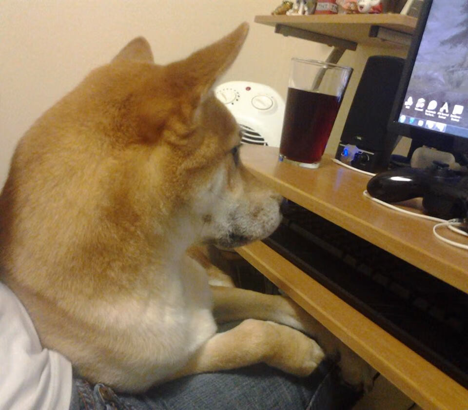 冰封王座，伦纳德一投封神的沉默美学