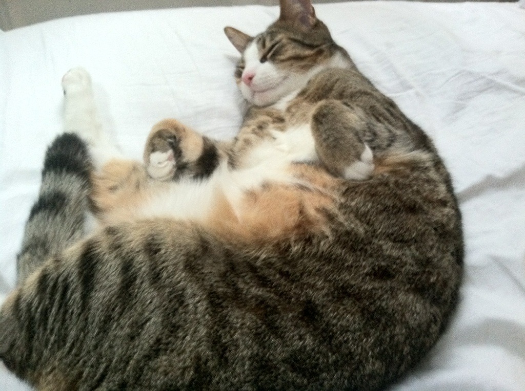 马赛窒息式战术锁死银河战舰，福登末节王炸演出终结悬念