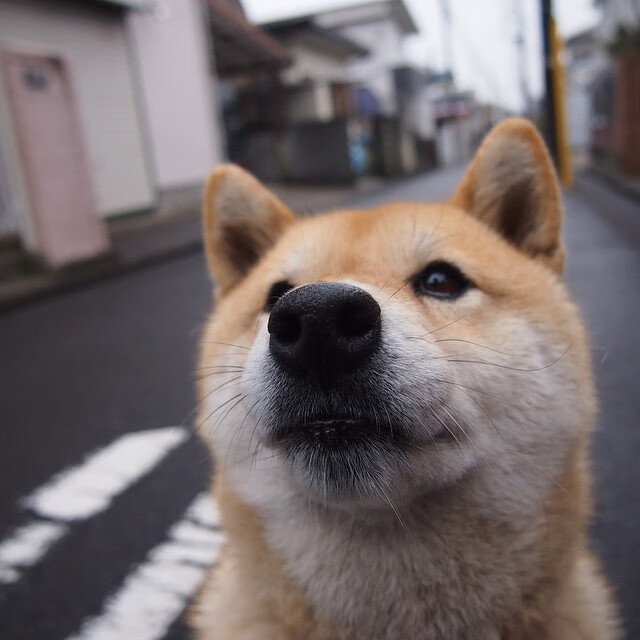 迪亚斯连击制胜，沙特全面压制韩国斩获关键胜利