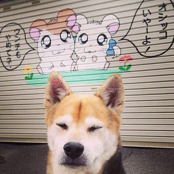 托尼冠军级表现闪耀全场，威尔士力克那不勒斯展露黑马锋芒