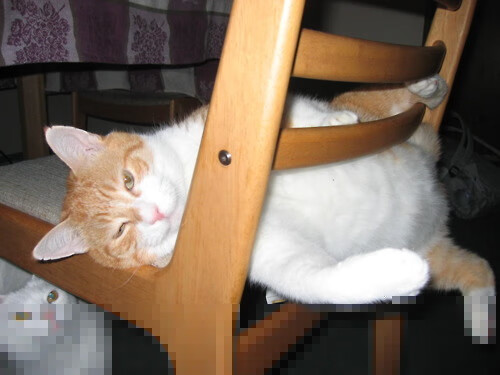 奥亚尔萨瓦尔，掀起压制风暴的摩洛哥之刃